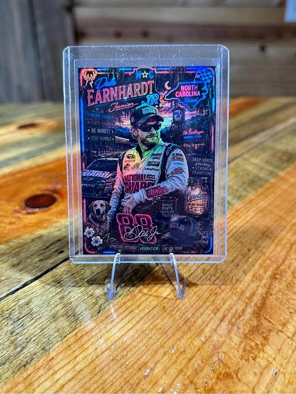 Dale Earnhardt Jr. Custom Auto Racing Trading Card